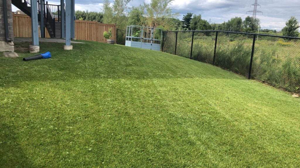8a | Leafylane Company LawnMowing Service LeafyLane