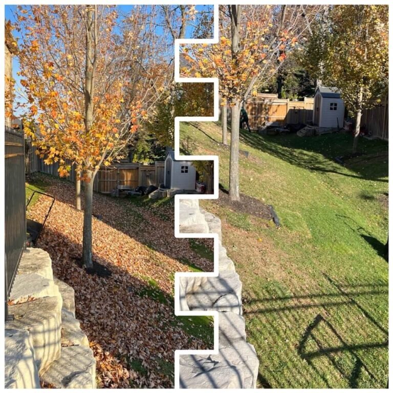 Yard Cleanup-Leafylane | Leafylane Company Yard Cleanup-Leafylane