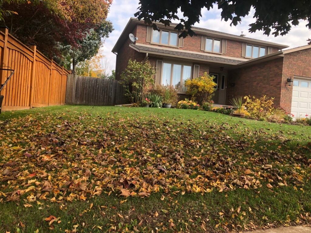 Fall-Leafylane | Leafylane Company Fall-Leafylane