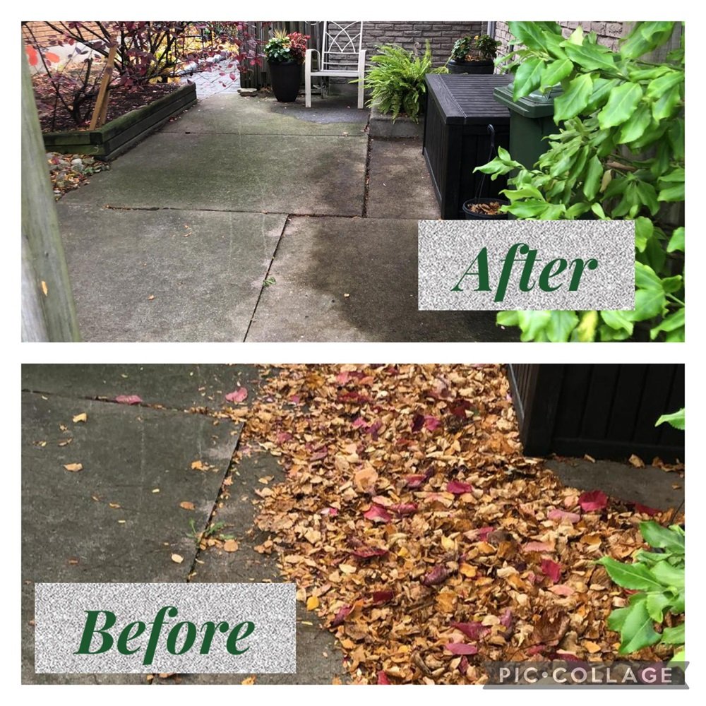 Spring and Fall Yard Clean Up Before and After by Leafylane