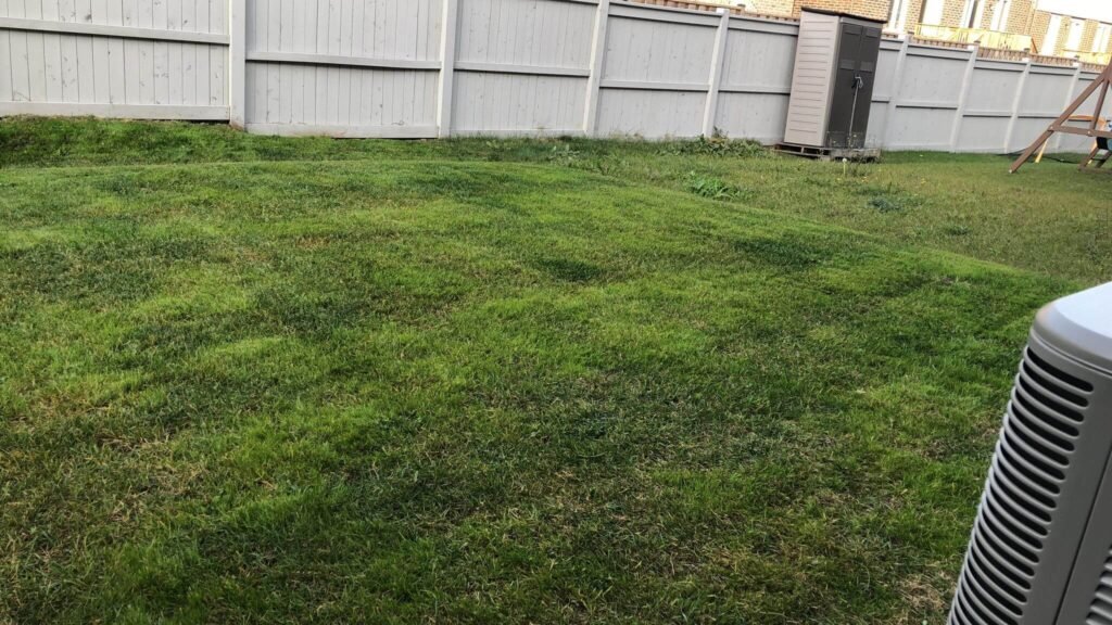 Fertilizing-Lawn care - Leafylane | Leafylane Company Fertilizing-Lawn care - Leafylane