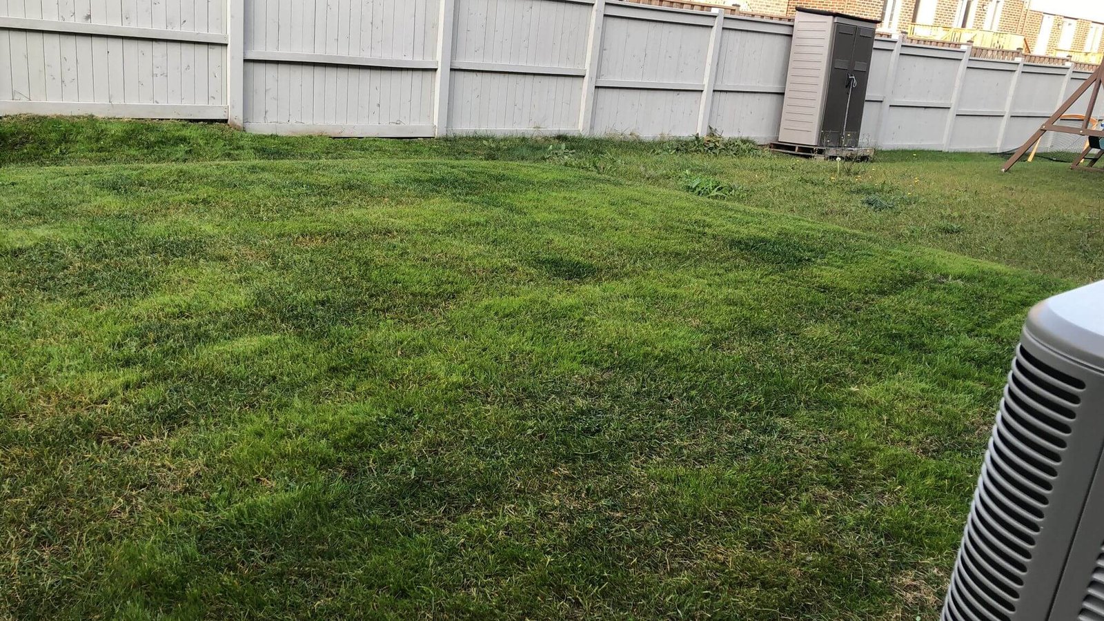 Fertilizing-Lawn care - Leafylane