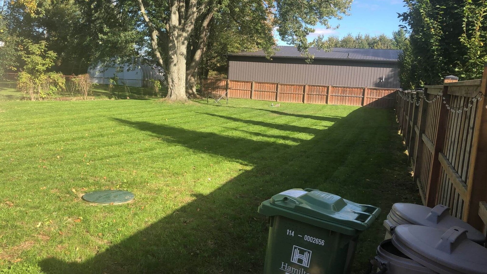Lawn care Service -Leafy Lane