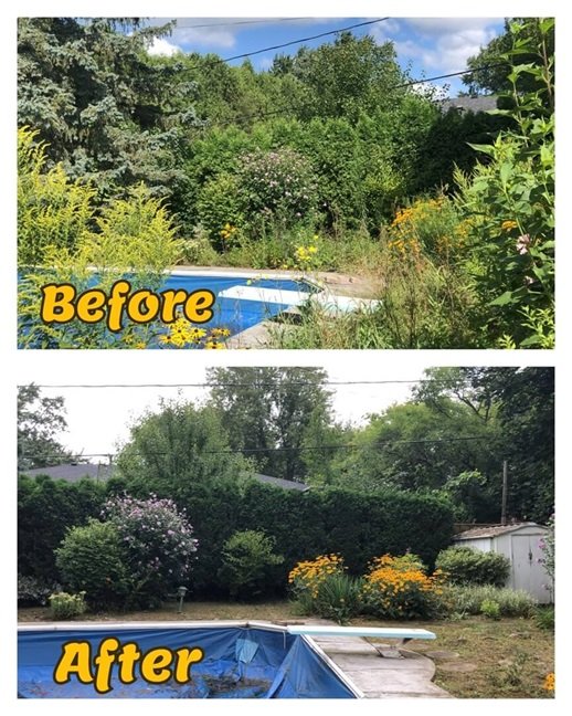 pruning,Trimming, Hedging Leafylane | Leafylane Company LeafyLane expert pruning,Trimming, Hedging