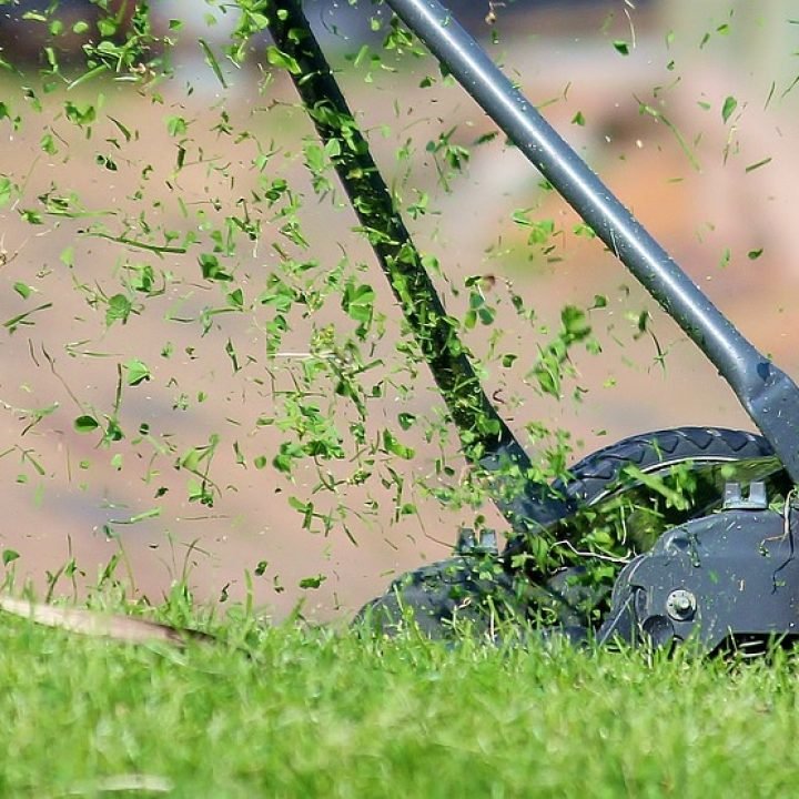 lawn mower, grass, cutting lawn mower, grass, cutting